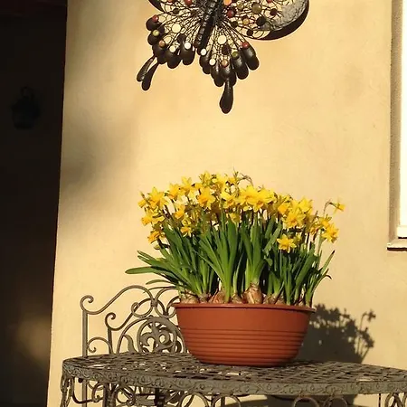 Готель типу 