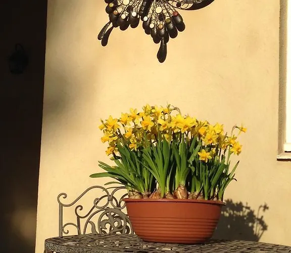 فندق مبيت وإفطار L'orangerie قرقشونه